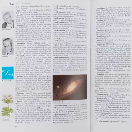 Der Brockhaus in 15 Bänden, Einbandgestaltung von JAMES RIZZI, - photo 4