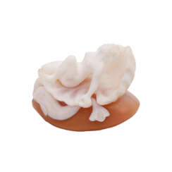Miniature representation of "Venus in a shell",