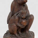 Affenmutter mit Jungem - Foto 1