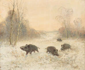 WILDSCHWEINE IN VERSCHNEITER LANDSCHAFT