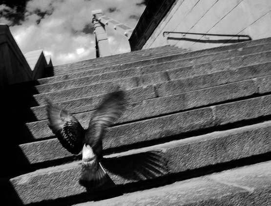 step Фотобумага Цифровая фотография Черно-белое фото Городская фотография 2005 г. - фото 1