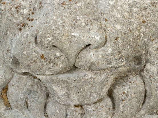 Lion Relief - фото 3