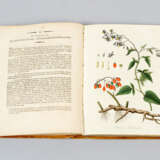 Botanical Book - Foto 3