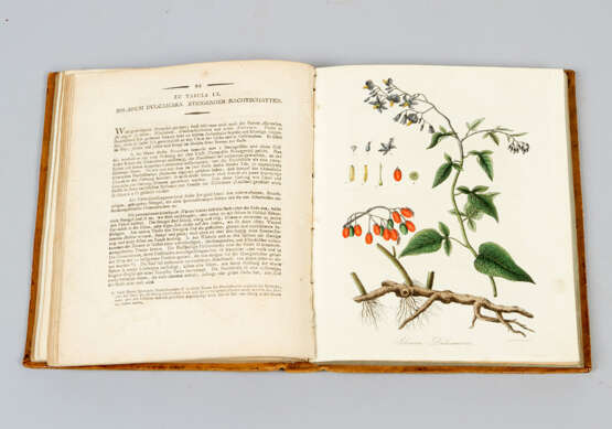 Botanical Book - фото 3