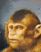 Ohne Titel (Affe)