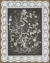 Aus der Serie: Plant of Opportunities