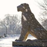 „Winter-Löwen“ Fotopapier Digitale Fotografie Farbfoto 2010 - Foto 1