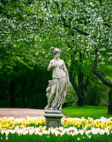 In the park In the park