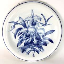 Größter Teller der Porzellan Manufaktur Meissen: Dekor in Blaumalerei (Kolibrie und Catleia), Ø 48 cm, 1. Wahl, um 1900.