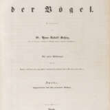 Schinz, Hans Rudolf, Naturgeschichte der Vögel - фото 2