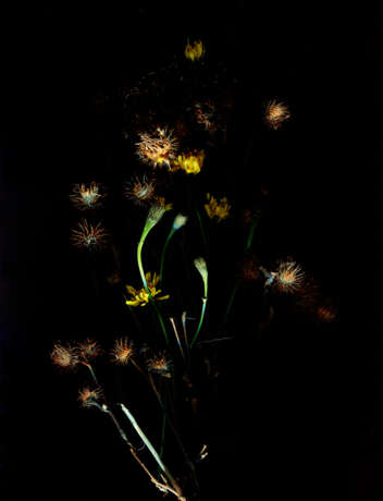 “Still life-3” Photographic paper Digital photography Color photo Still life 1999 - photo 1