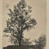 Der Grosse Baum - Wiese mit Kindern - Ochsen im Geschirr , Leibl, Wilhelm 1844 Köln - 1900 Würzburg - photo 2
