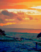 Осень жизни Осень жизни