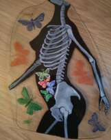 Метелики/Butterflies Метелики/Butterflies