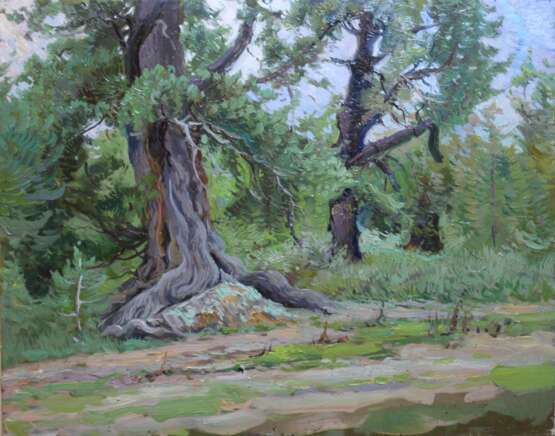“The cedars in the mountains” Cardboard Oil paint Realist Landscape painting 2019 - photo 1
