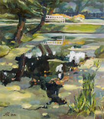 Old pond in Zdravnevo