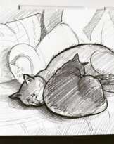 Любители сладко поспать Любители сладко поспать