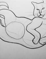 Кота Лиза Кота Лиза