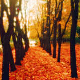 “Autumn alley” Photographic paper Film Photo Color photo Landscape painting 1998 - photo 1