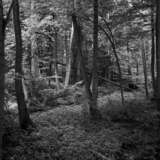 “Forest river Vicheva” Photographic paper Film Photo Black & white photo Landscape painting 2012 - photo 1