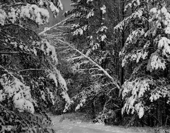“After a snowfall” Photographic paper Film Photo Black & white photo Landscape painting 2016 - photo 1