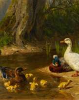 Entenfamilie am Wasser