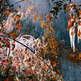 “Freezing rain” Photographic paper Film Photo Color photo Landscape painting 1995 - photo 1