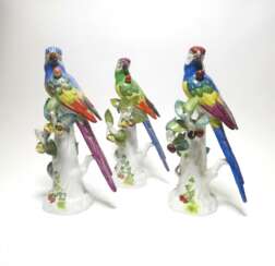Три Платт хвост попугаев с вишней