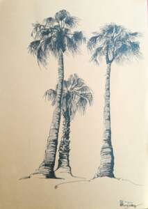 Drei Palmen
