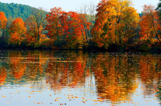 “Autumn fire” Photographic paper Digital photography Color photo Landscape painting 2008 - photo 1
