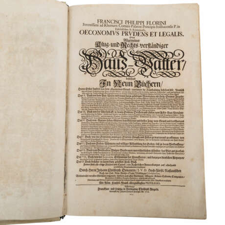 Prachtvolle ökonomische Schrift, Beginn 18. Jahrhundert. - - photo 1