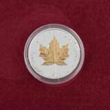 Kanada - 11 x 1 Unze, Maple Leaf und andere, - фото 5