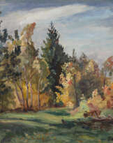 Ray of Sun in the Forest