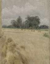 Harvest Landscape