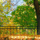 “Bridge in autumn” Photographic paper Digital photography Color photo Landscape painting 2009 - photo 1