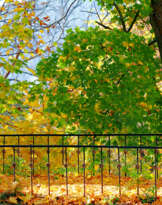 Мост в осень