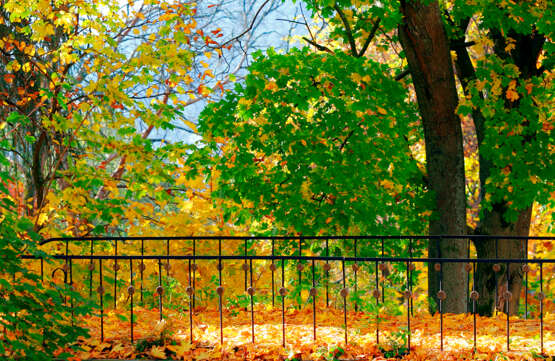“Bridge in autumn” Photographic paper Digital photography Color photo Landscape painting 2009 - photo 1