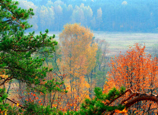 “Autumn morning” Photographic paper Digital photography Color photo Landscape painting 2009 - photo 1