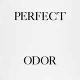 Науман, Брюс. Perfect door / Perfect odor / Perfect rodo - фото 4