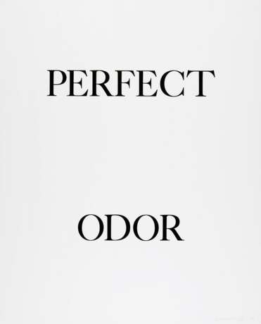 Науман, Брюс. Perfect door / Perfect odor / Perfect rodo - фото 4