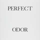 Науман, Брюс. Perfect door / Perfect odor / Perfect rodo - фото 5