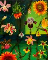 Approaching Storm - Windsurfers