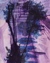 Walt Whitman III (Waterfall)