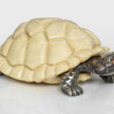 Schildkröte - фото 1