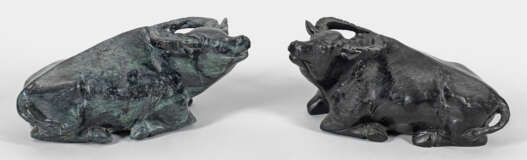 Paar asiatische Wasserbüffel - Foto 1