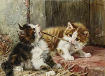 Zwei spielende Kätzchen 