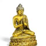 Buddha Shakyamuni mit dharmachakra mudra - фото 1