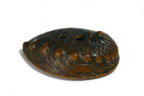 Netsuke: Awabi-Muschel - photo 1