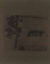 IN DER OPER' (ENTSCHEIDUNG DER FRAGE, OB DEN SCHWÄMMEN BEWUSSTSEIN ZUKOMMT)