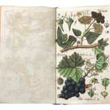 Botanisches Handbuch - фото 3